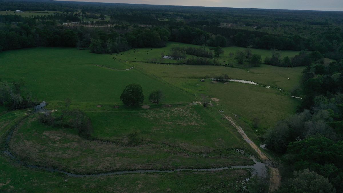 Pasture Or Homesite Tract In Southeast Louisiana Whitetail Properties