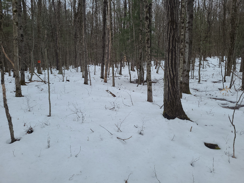 photo_d63b9b93-d81d-45f8-872e-ec3e57166754