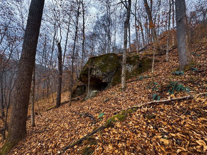 Ritchie, WV 100 AC Harper-24