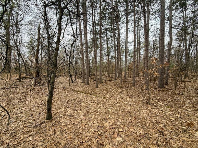 Juneau 1.53 Northgate-14