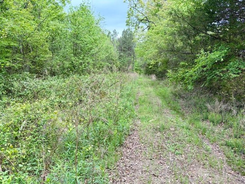 AE4E2E6F-FCFF-41A3-8BC8-C8284046EEF5_1_105_c