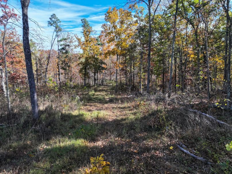 DJI_20251104130715_0852_D