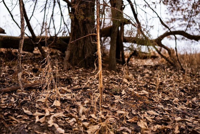 Pike IL 96.87 Adv Pro Photo-51