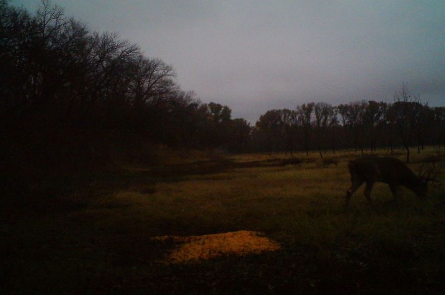 IMAG0230