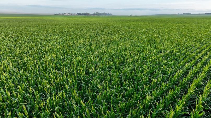 Copy of Copy of DJI_0360