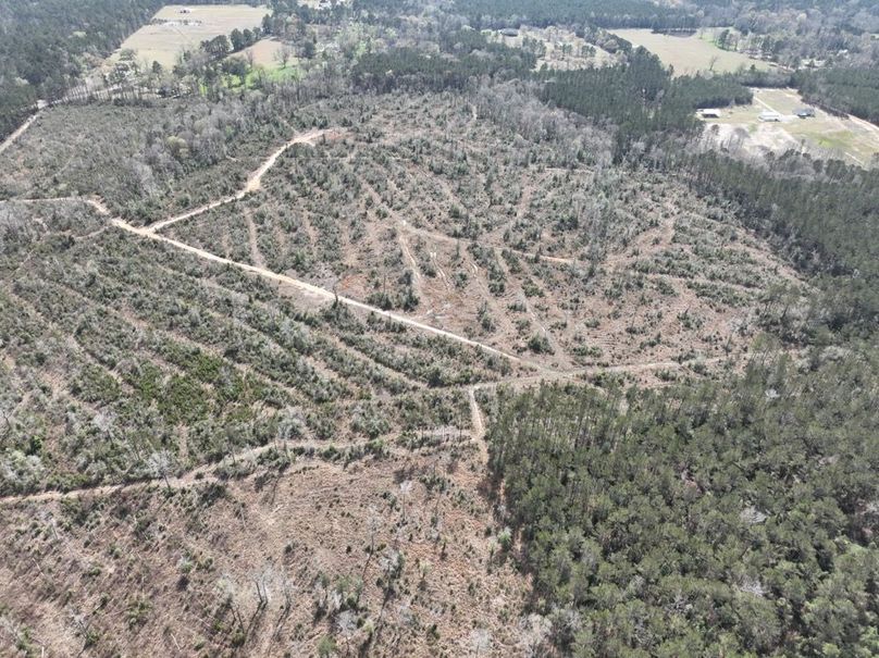 dji_fly_20260303_140258_303_1772637905245_photo