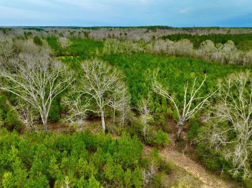 100B79AE-DBCF-4B6F-8ABF-076D3483DEE3_1_105_c