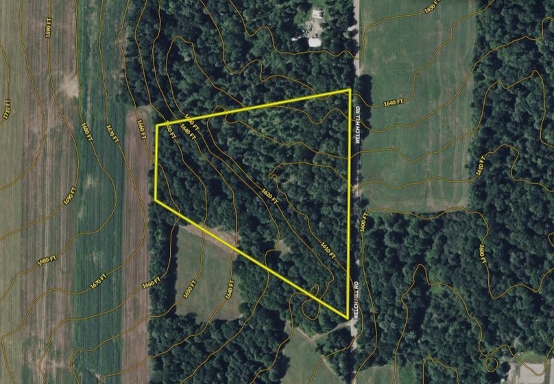 Screen Shot 2026-02-04 at 2.11.11 PM