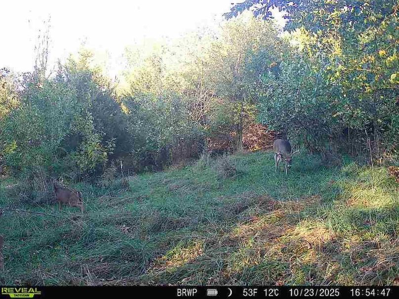 860322065924133-100-4-10232025165446-W1000015