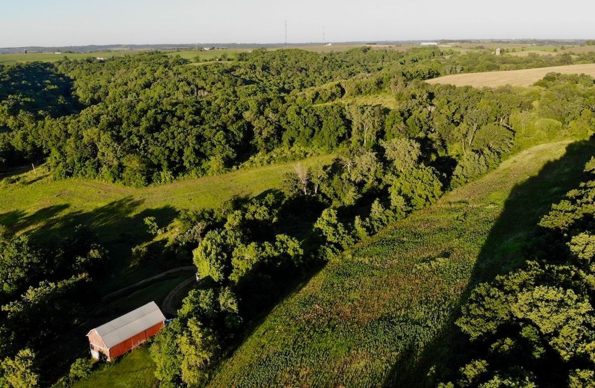 Grant 155.25 - 3 of 57