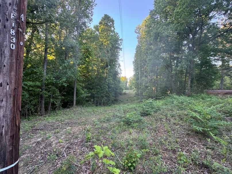 Desoto 8.3 Clement (Final Frontier) -27