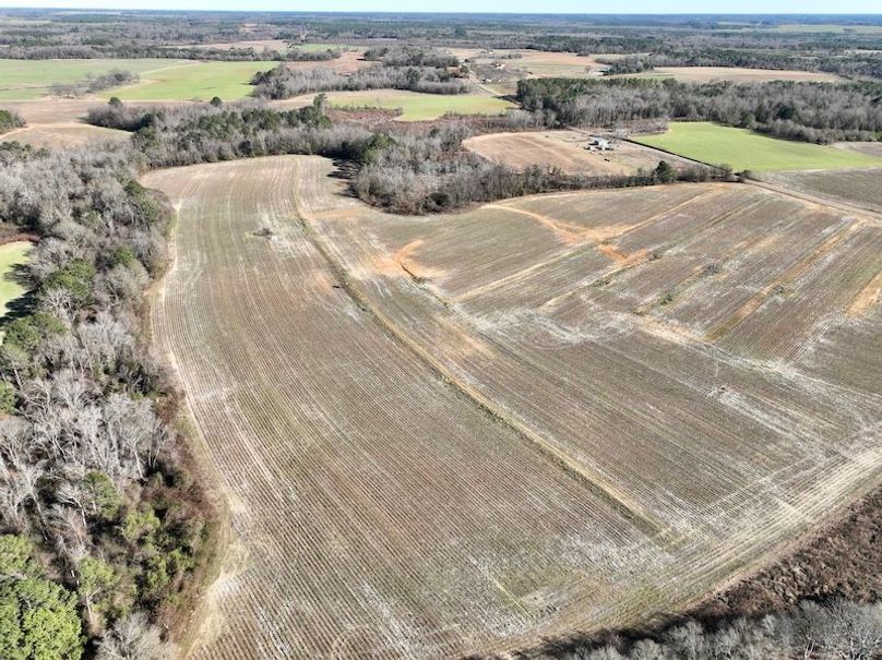 dji_fly_20260115_143740_120_1768507087282_photo