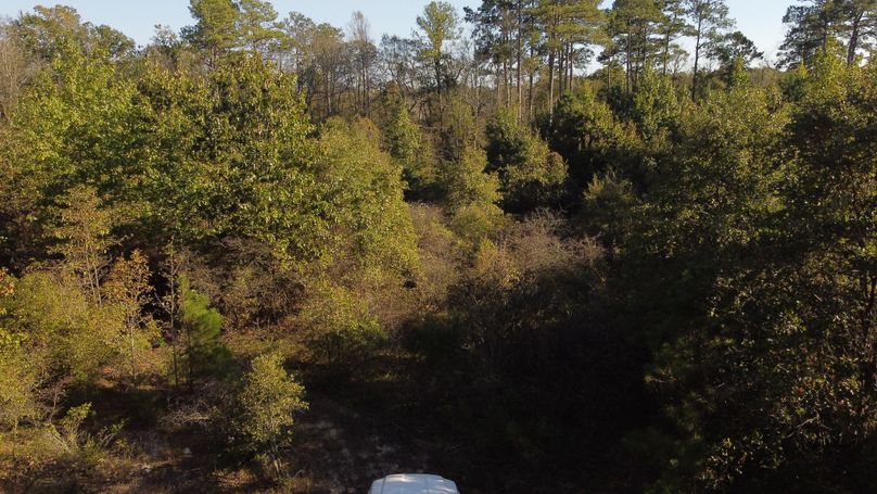 DJI_0861