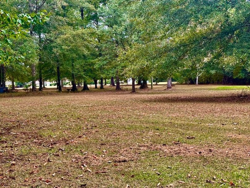 1767A5C0-DA76-4CD4-9B99-3380DED23327_1_201_a