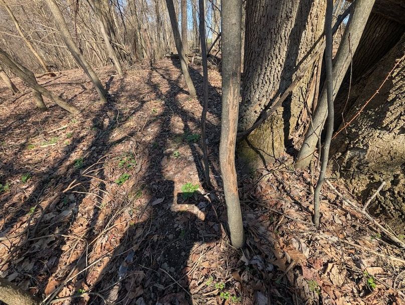 PXL_20260326_162359683