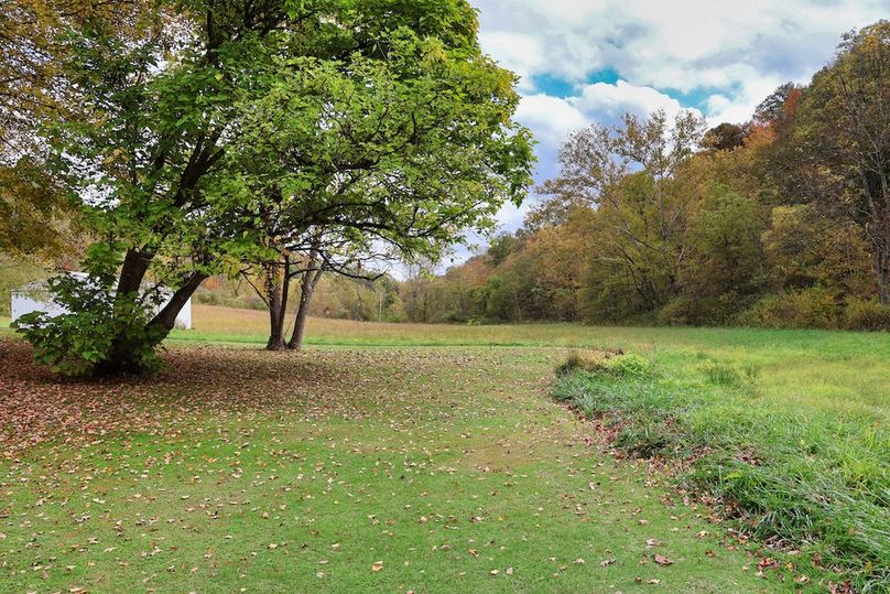 034 fall in the backyard