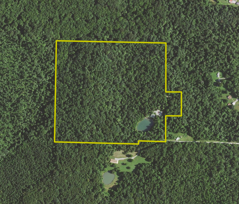 Screenshot 2023-06-26 at 10.53.20 AM