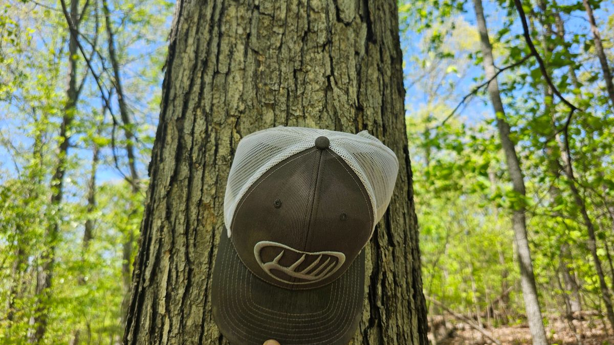 Beautiful Hardwood Timber Tract In Western TN Whitetail Properties