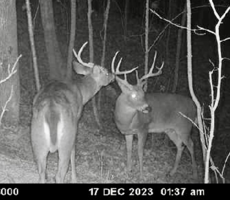 Screenshot_20231217_080109