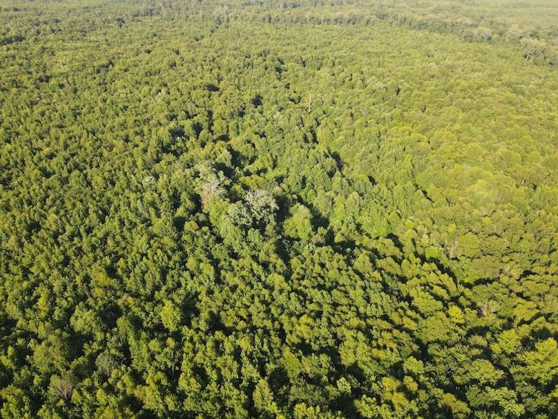 DJI_0403