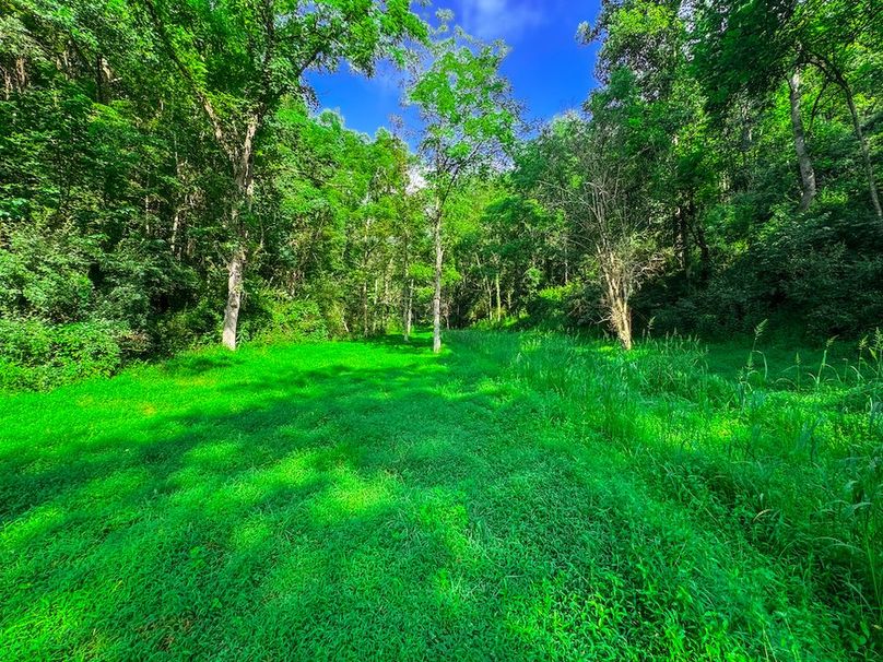 Lewis, WV 105 AC Miller-40