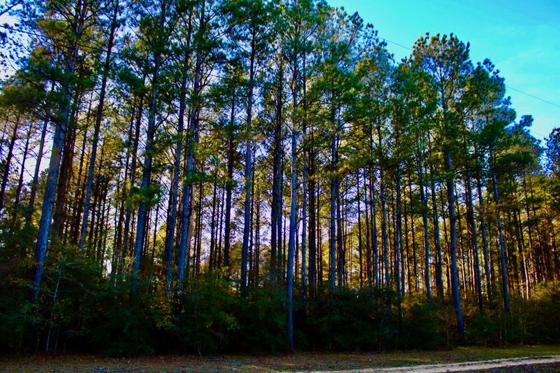 E94CCC23-2E78-4675-B790-7BFAE4EA21C2_1_201_a-2