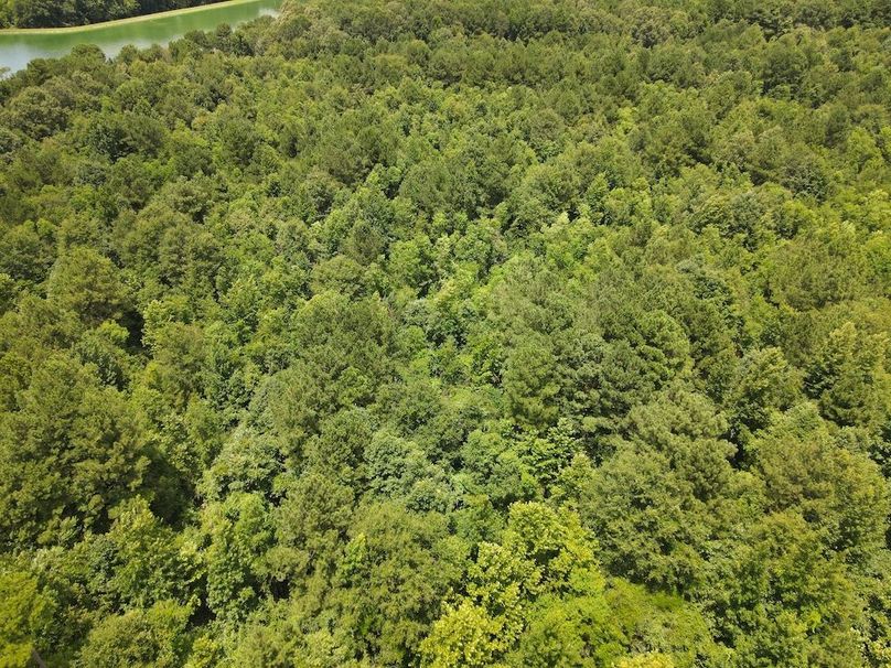 DJI_0625