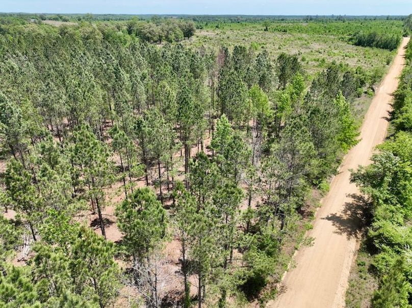 dji_fly_20260429_133554_626_1777484793880_photo