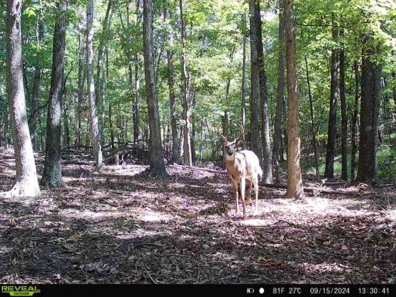 868032065078705-20-3-09152024133040-V-W1007159