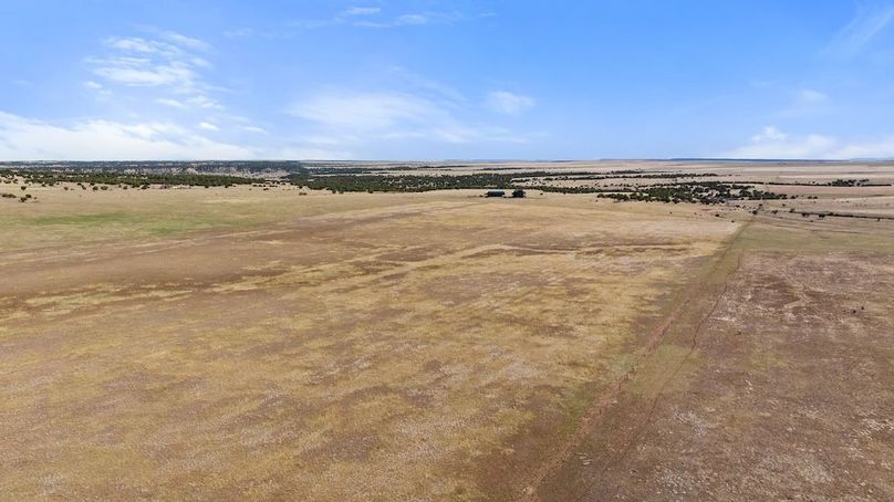 DJI_20250408163859_0023_D