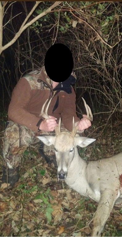 Screenshot_20230401_231217_Gallery