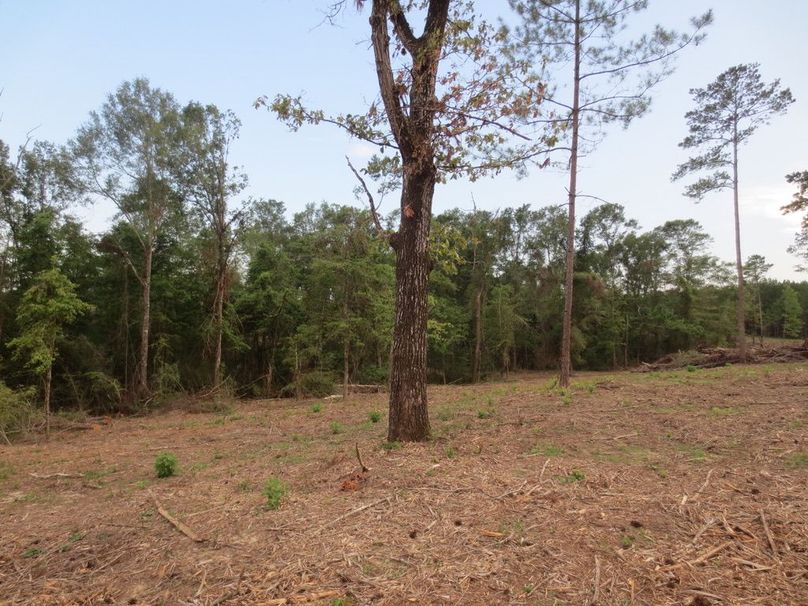 946A5834-50D8-495F-B056-3A1C6516AA3A_1_105_c