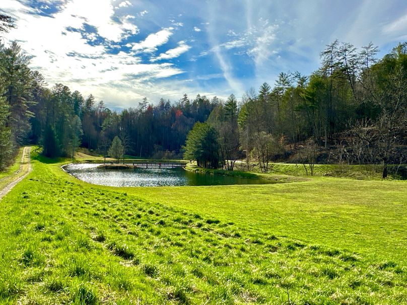IMG_007 Community Pond