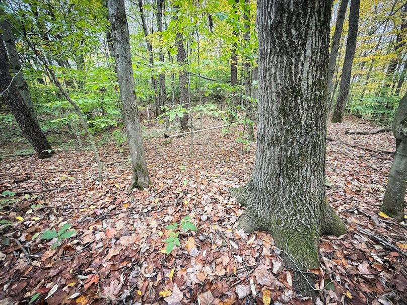 Oswego NY 6.68 Photos 35