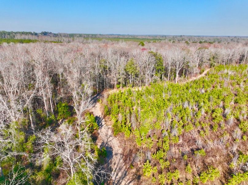 dji_fly_20250225_160524_443_1740517925026_photo