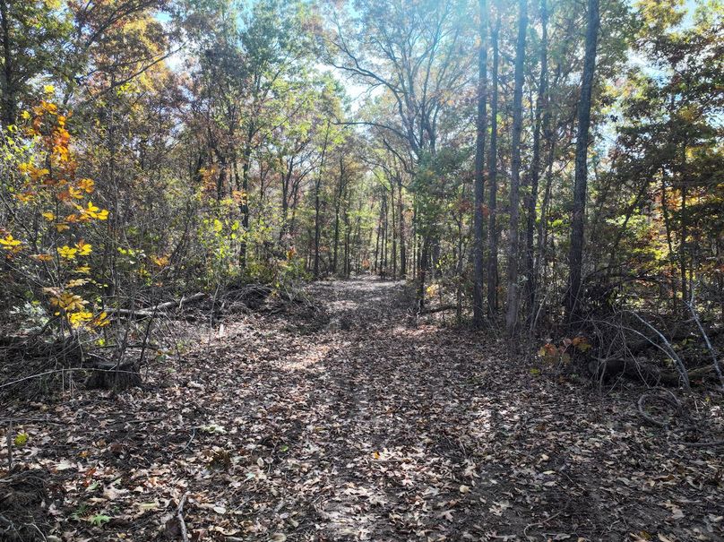 DJI_20251102094454_0822_D