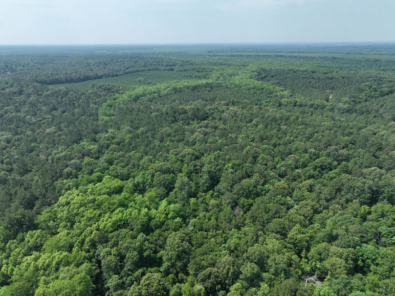 dji_fly_20230530_111432_134_1685483437027_photo