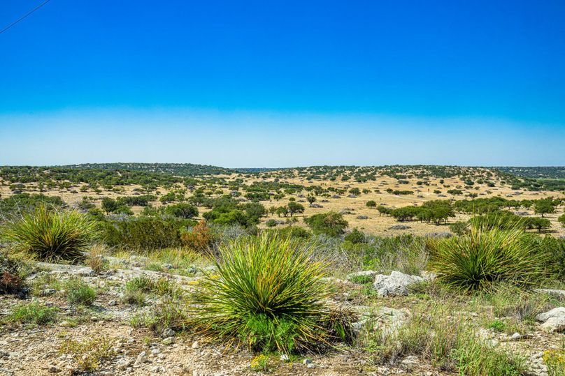 57-web-or-mls-DSC08654