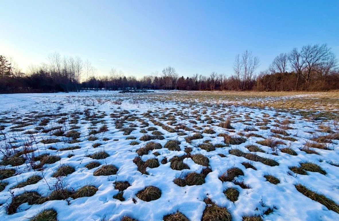 3 2nd field looking west