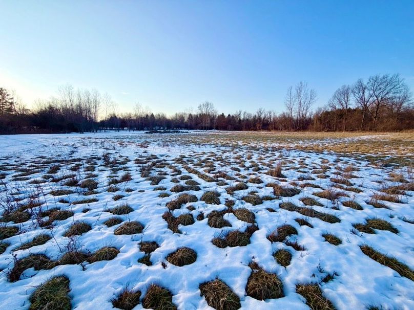3 2nd field looking west