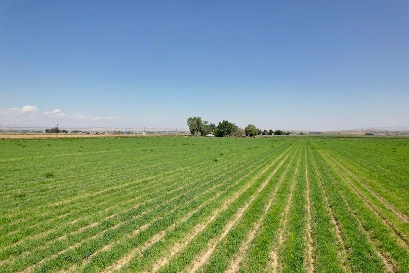 6AE7E205-0ED5-4678-ACF4-A03B7F450021_1_201_a