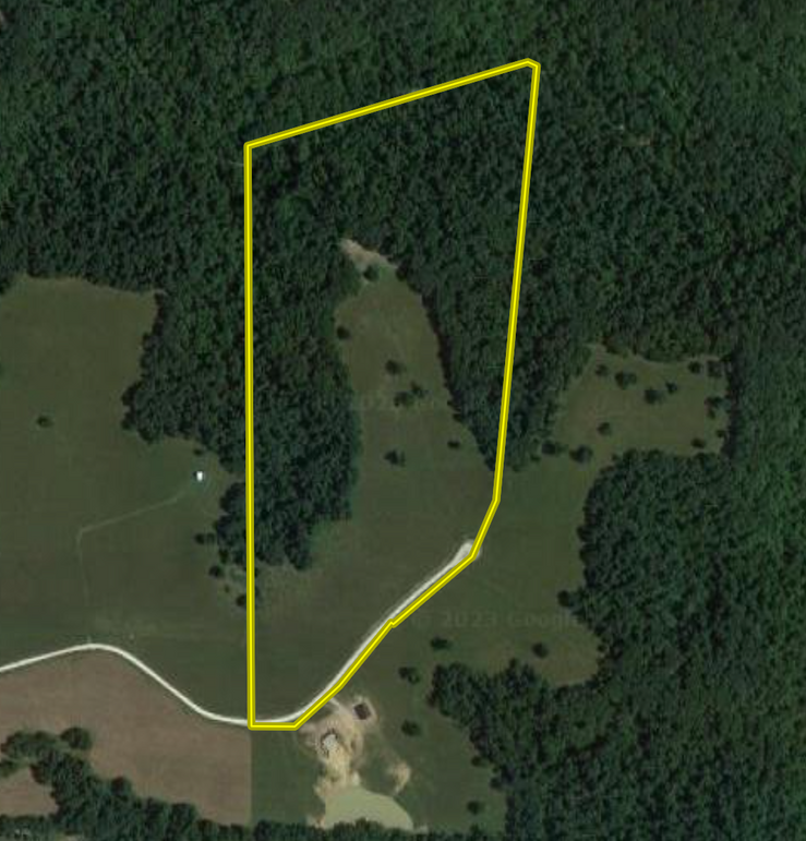 Screen Shot 2023-08-07 at 8.07.11 PM