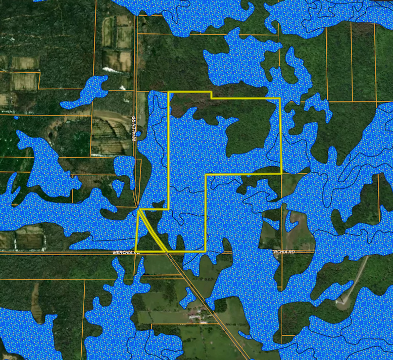 Screenshot 2025-07-03 092039