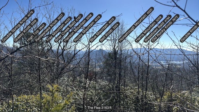 035_Clay 124.76 Fleaback-21