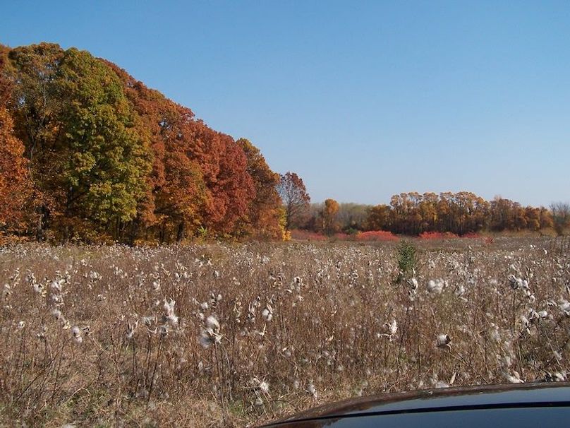 Fall Colors (6)