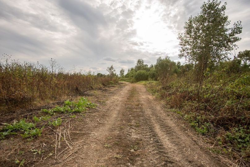  BLACKDOGBEND SOUTH_41