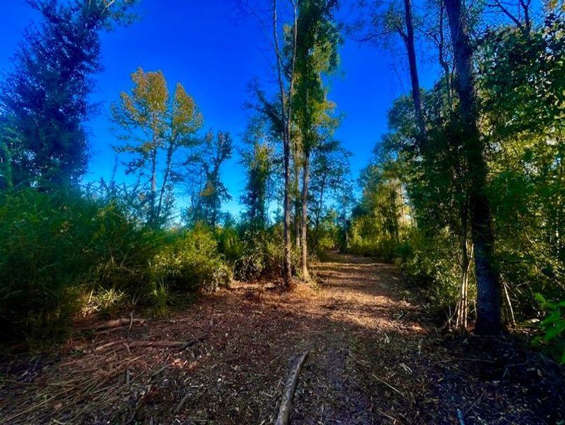 12CC6383-D40F-4327-8123-00CF31102A38_1_105_c