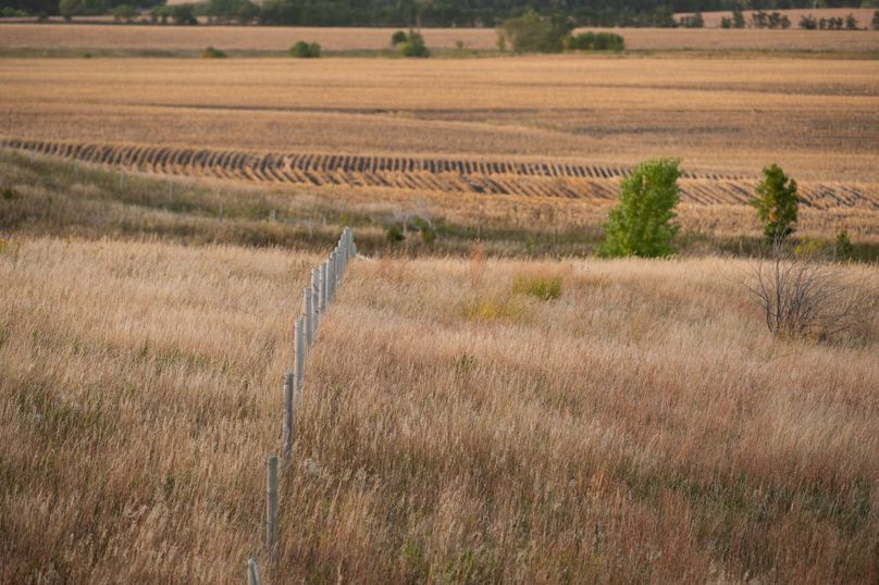 7 - Perimeter _ Cross Fence