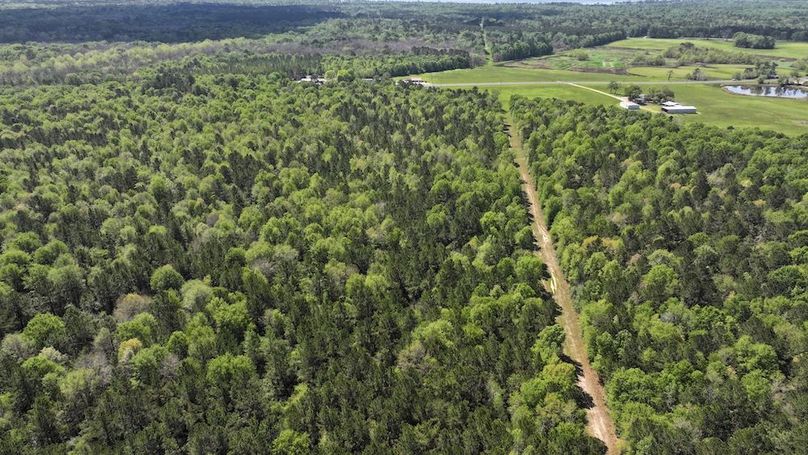 DJI_20260327114626_0007_D