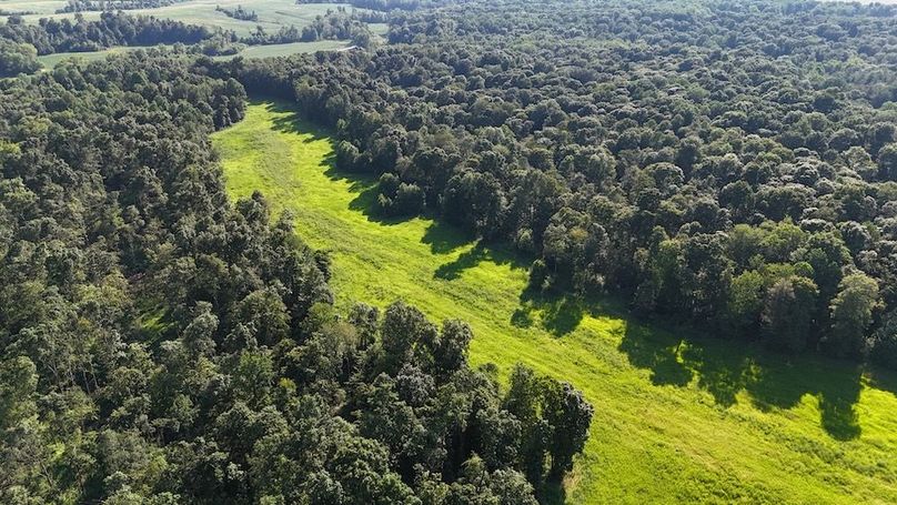 DJI_20250808174859_0741_D